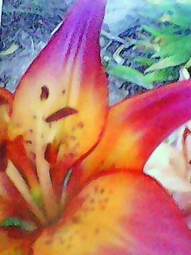 Etude 3 by Heitor Villa Lobos