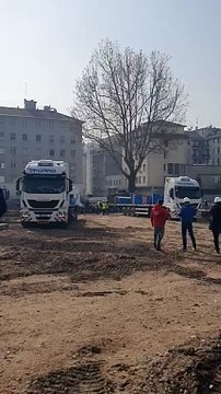 Milano, cantiere Beic: i lavori per trasferire il grande platano di via Monte Ortigara