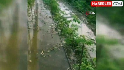 Hatay'da caddeler göle döndü, seralar su altında kaldı