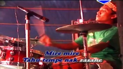 New Pallapa Dan Brodin - Tanjung Perak
