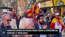 Manifestación en Palma para pedir la dimisión de Sánchez y Marlaska