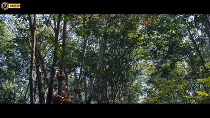 蛇灾：蛇岛惊魂（2022）完整版1080p