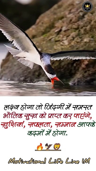 InShot_20240218_185859783