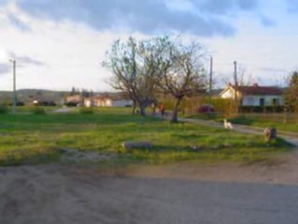 MOV01141