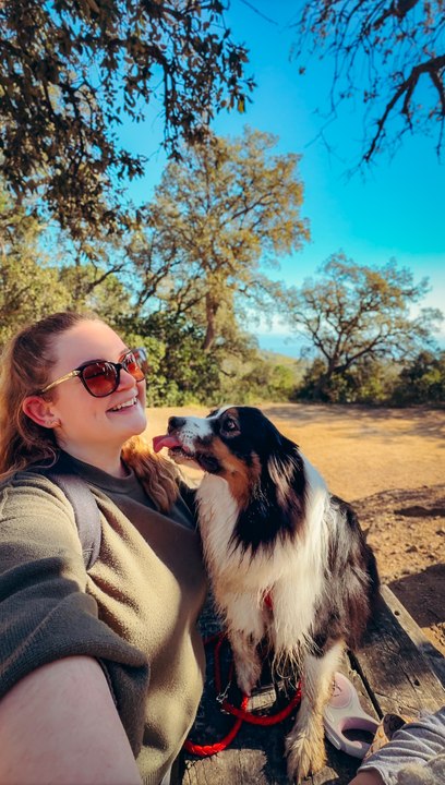 Balade entourée de Mimosa dans le 06 !