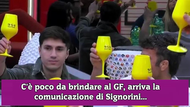C'è poco da brindare al GF, arriva la comunicazione di Signorini...