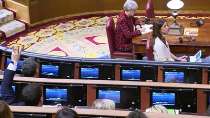 El PSOE pide a la Mesa del Congreso ampliar el plazo para un nuevo dictamen de la Amnistía
