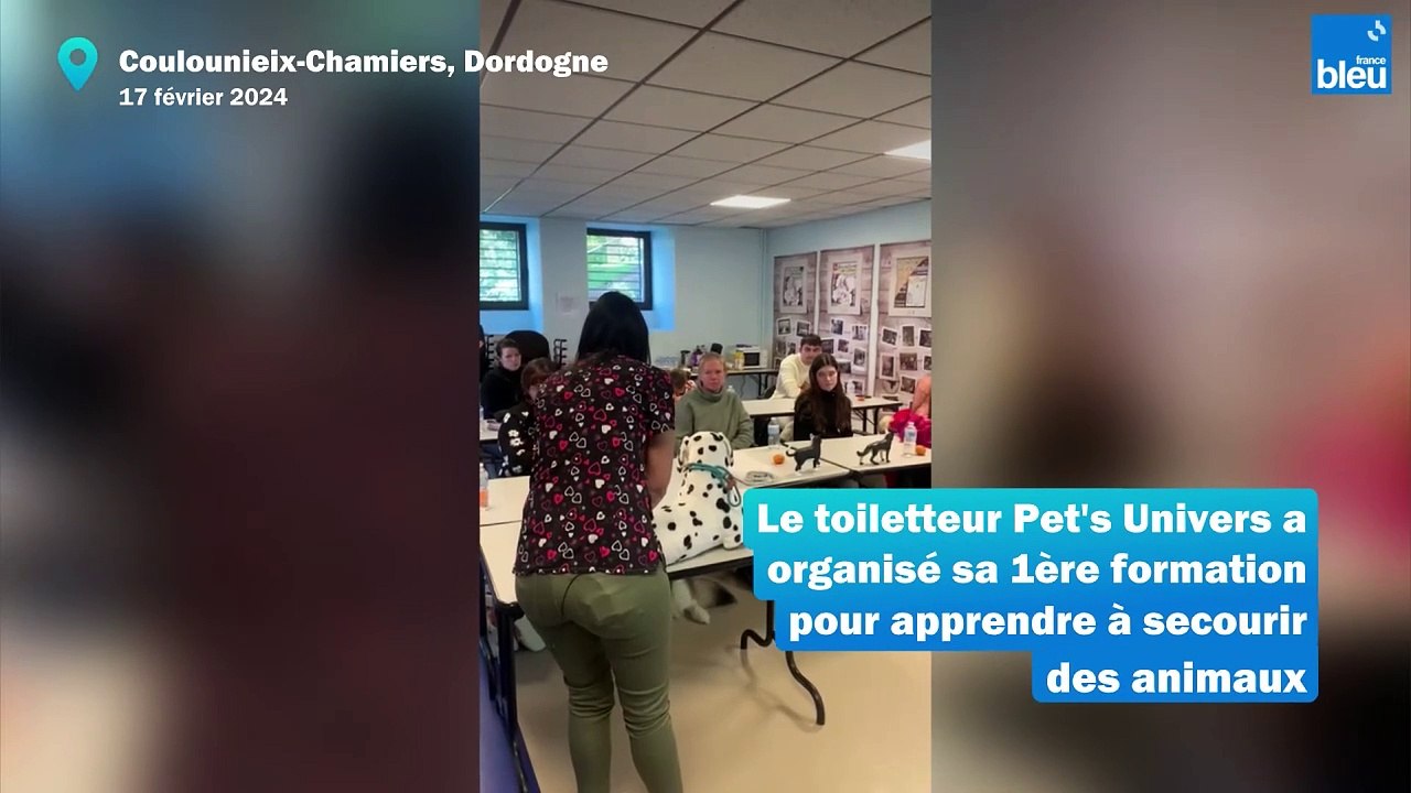 Une formation aux premiers secours pour chiens et chats en Dordogne