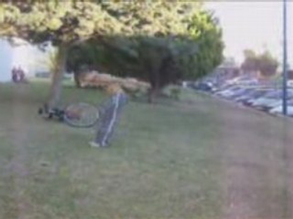 Minitraining Edu-Tail UT-IT  Tricking