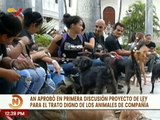 Caraqueños respaldan aprobación en primera discusión de ley para trato digno de los animales