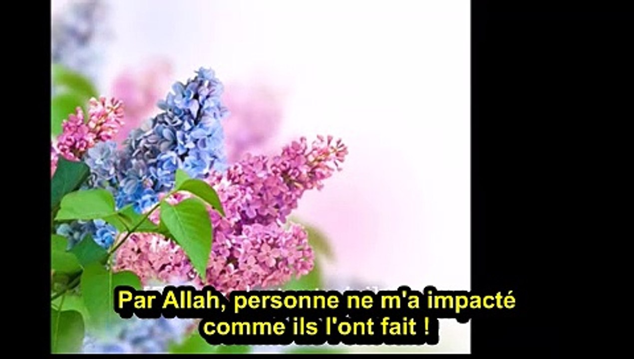 Gaza : Ce qui m'a vachement calmé et discipliné