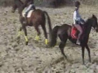 Trec 17 février 2008