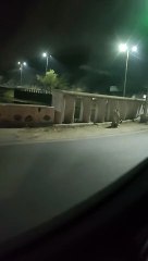 Video...रानी रोड पर पैंथर दिखने का वीडियो वायरल