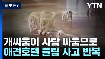 [제보는Y] 개싸움이 사람 싸움으로...애견호텔 물림 사고 '주의' / YTN
