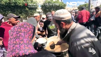 Krieg in Gaza: Kaum Essen und Leben im kalten Zelt in Rafah