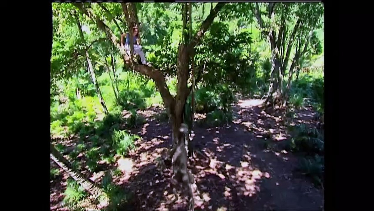 Os Mutantes Caminhos Do Coração Capitulo 188