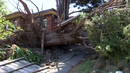 Nearly 10,000 Victorian homes remain without power after devastating storms