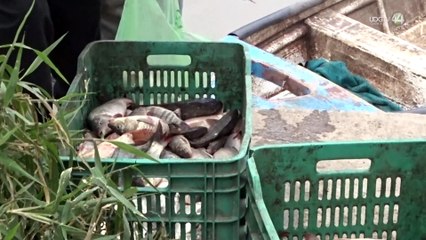 Pocos peces y una laguna con bajo nivel de agua es como se encuentran pescadores de Ocotlán