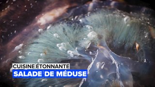 Cuisine étonnante : la méduse