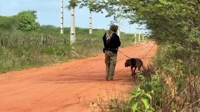 Autoridades seguem à procura de fugitivos de penitenciária federal