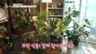 [HOT] Healing in the city center! My house that became a small garden!,생방송 오늘 아침 240219