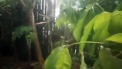 Water as the Source of Life 16