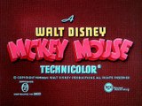 Mickey Mouse_ O papagaio do Mickey ( 1938) Walt Disney