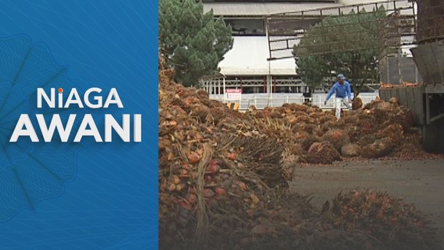 Niaga hadapan minyak sawit mentah: Kecenderungan menaik minggu ini