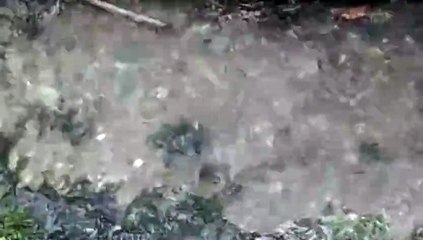 Water as the Source of Life 18