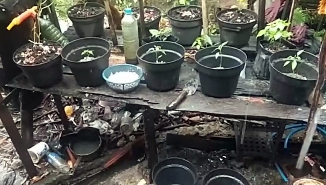 Water as the Source of Life 20