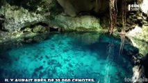 Évitez de nager dans ce cenote au Mexique, voici l’animal terrifiant qui s’y trouve