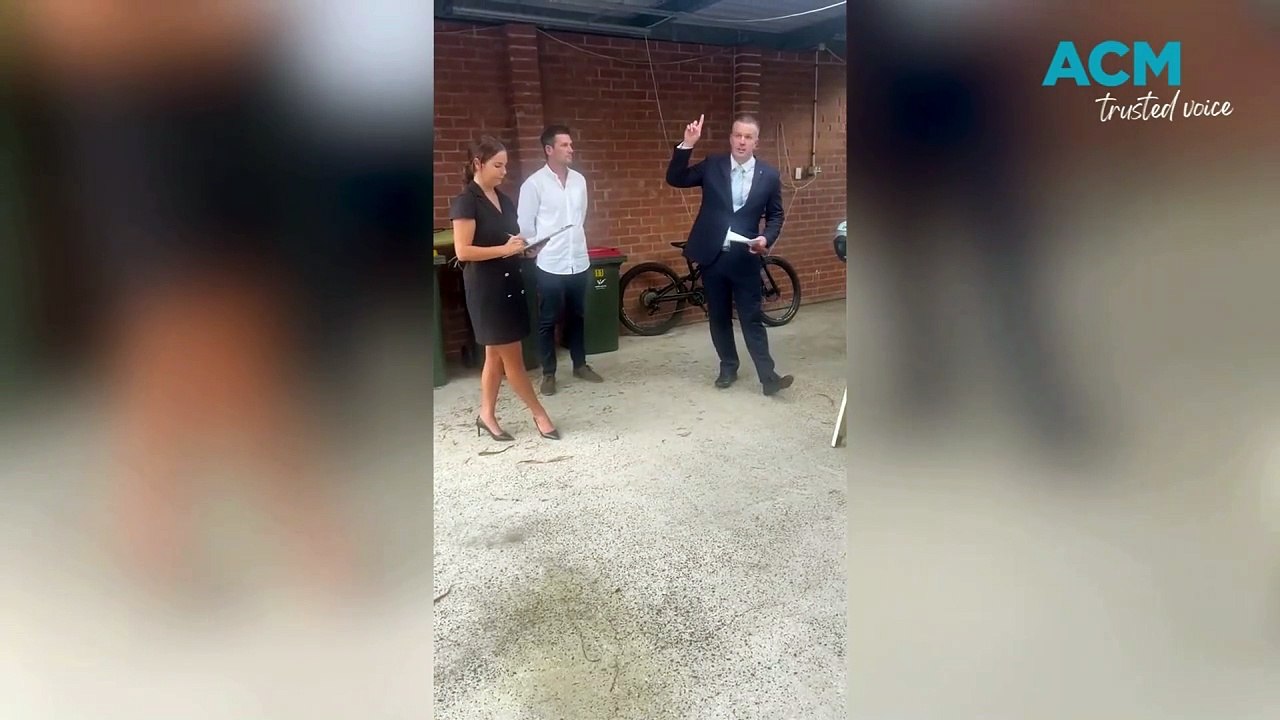 Austinmer auction