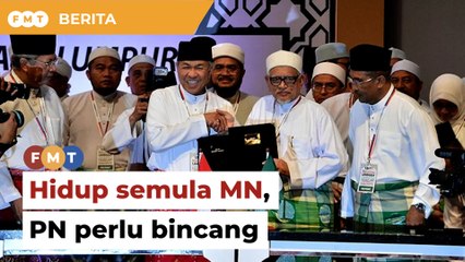 Cadangan hidup semula MN perlu dibincangkan pimpinan PN, Razali beritahu PAS