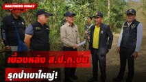 เบื้องหลัง ส.ป.ก.บิน รุกป่าเขาใหญ่! | DAILYNEWSTODAY เดลินิวส์ 19/02/67