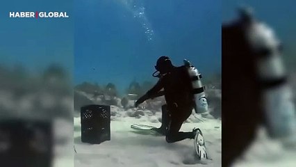 Dalgıç kendisine saldırı hamlesinde bulunan köpek balığını böyle savurdu!