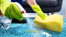 Discover the Top 5 Benefits of Professional Carpet Cleaning