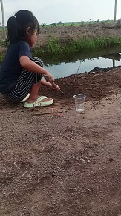 Mainan di sawah