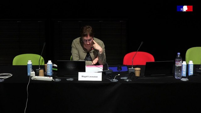 Journée d'étude - Histoire et archives des fédérations sportives - 11/22 - La Fédération française de karaté et d’arts martiaux affinitaires : aux sources d’une identité singulière