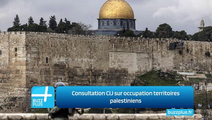 Consultation CIJ sur occupation territoires palestiniens