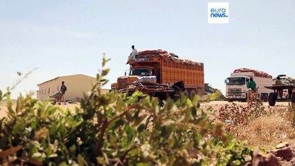 Save the Children: 10 млн перемещённых детей в 2023 году