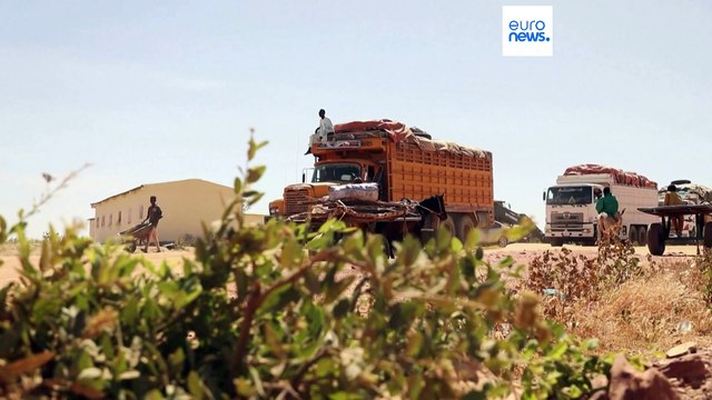 La mayor cifra jamás registrada : 50 millones de niños viven desplazados por la guerra