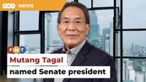 Mutang Tagal named Senate president