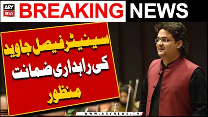 PHC grants transit bail to Senator Faisal Javed