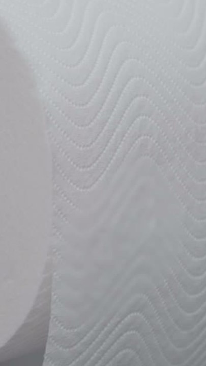 ECTLS - De quand date le papier toilette ?