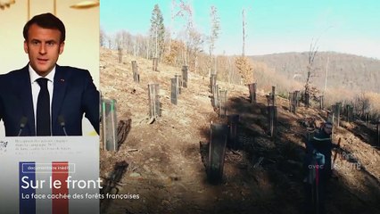 [BA] Sur le front - La face cachée des forêts françaises - 26.02.2024