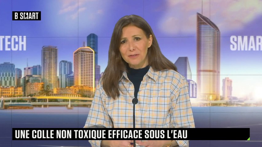 Biomimétisme : une colle non toxique sous l’eau 