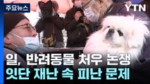 日, 잇단 재난 속 '반려동물' 처우도 주요 화두 / YTN
