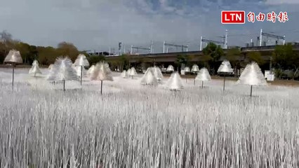 台灣燈會高鐵燈區人氣打卡點 創作者教你拍出夢幻雪景情境