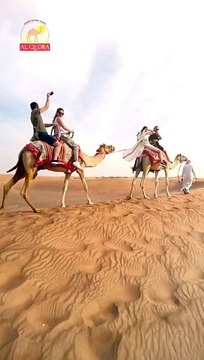 Camel Riding at Dubai Safari Desert with Al Qudra Tours