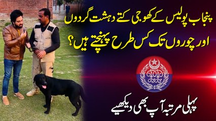 Punjab Police k khoji kuttay dehshatgardo aur choro tak kis tarah pohanchtay hain? Pehli martaba aap b dekhiye